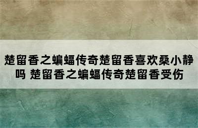 楚留香之蝙蝠传奇楚留香喜欢桑小静吗 楚留香之蝙蝠传奇楚留香受伤